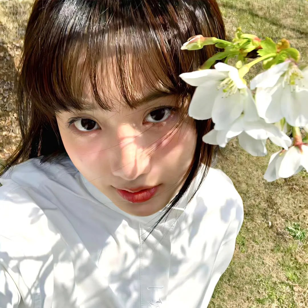 蜜蜂的秘密生活
